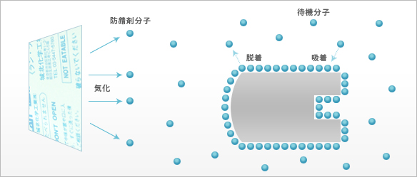 ラン・ラン