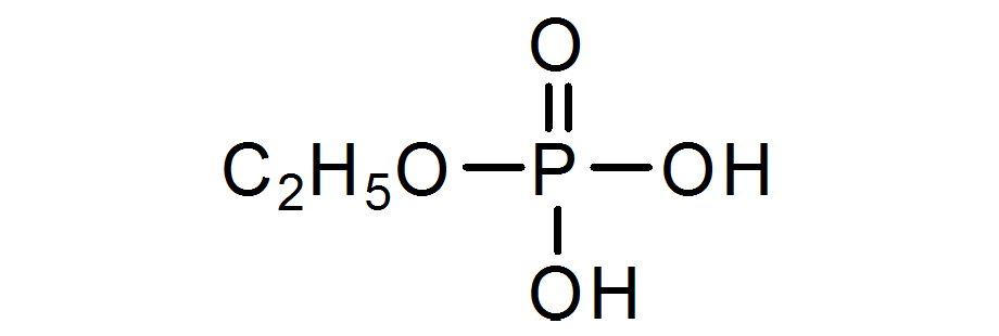 JAMP-2：Mono ethyl phosphate